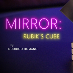 Mirror Standard Rubik Cube