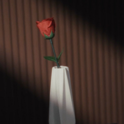 Eternal Rose