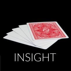 Cartes blanches dos rouge Insight (lot de 5)