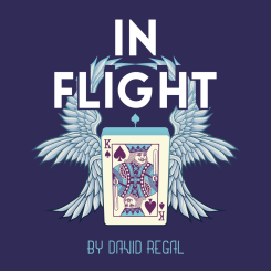In Flight