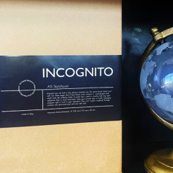 Incognito (Sketch Pad)