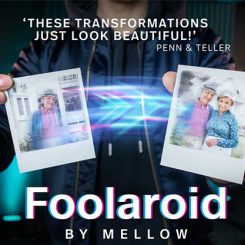 Foolaroid - Lovestory Edition