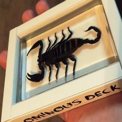 Omninous deck (Scorpion)