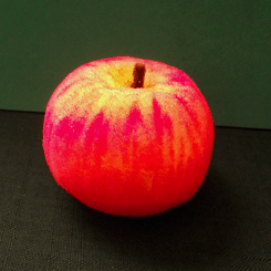 Pomme éponge