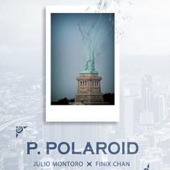 Project Polaroid