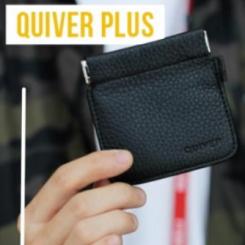 Quiver plus