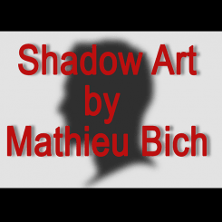 Shadow Art