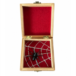 Spider Card Mystery