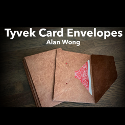 Tyvek Card Envelopes Marron